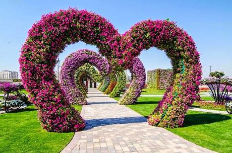 Miracle Garden (Dubai)