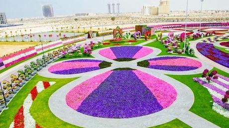 Miracle Garden (Dubai)