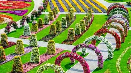 Miracle Garden (Dubai)