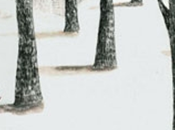 ilusión esperanza quizás comprenden