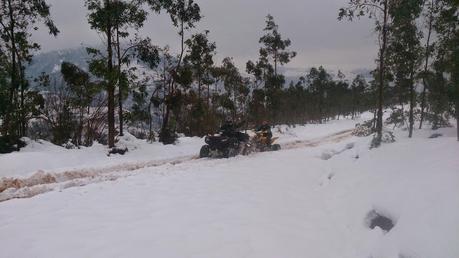 ojancanus baranjaratube