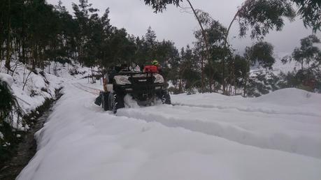 ojancanus baranjaratube