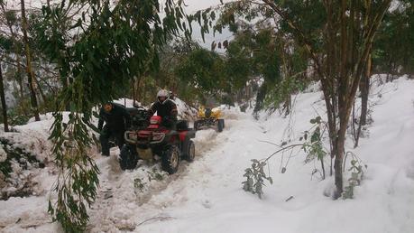 ojancanus baranjaratube