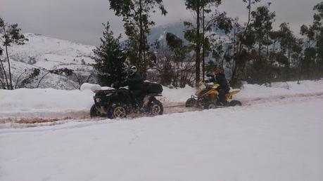 ojancanus baranjaratube