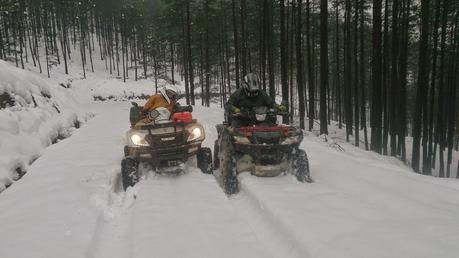 ojancanus baranjaratube