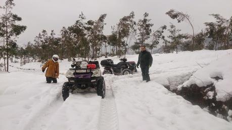 ojancanus baranjaratube