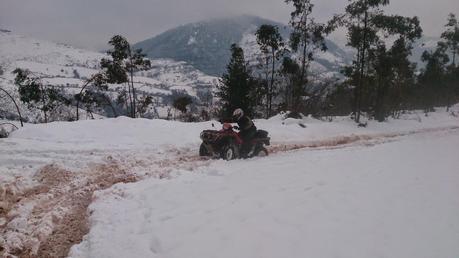 ojancanus baranjaratube