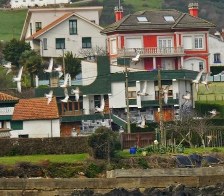 De vuelta del frío.