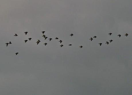 De vuelta del frío.