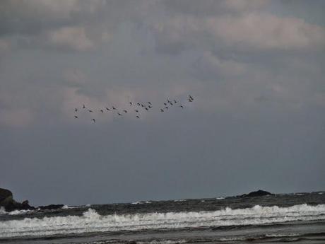 De vuelta del frío.