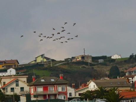 De vuelta del frío.