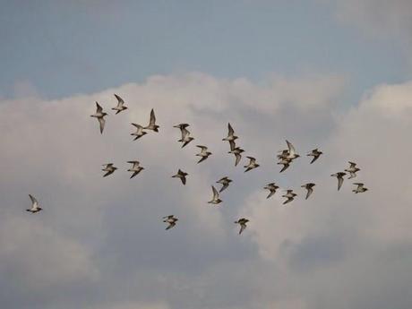 De vuelta del frío.