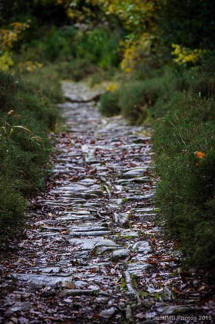 Piedra mojada Piedra mojada