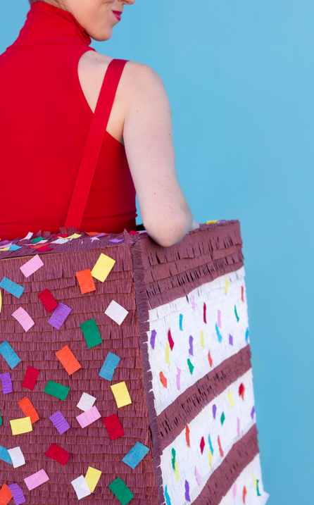 CARNAVAL TODA LA VIDA !