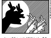 sombras
