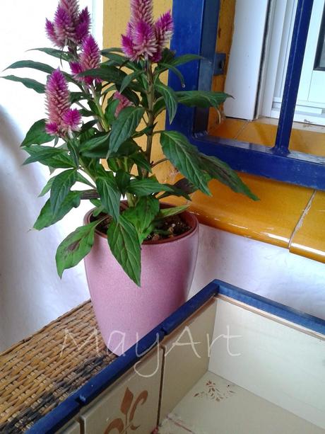 CAJA DE VINO RECICLADA