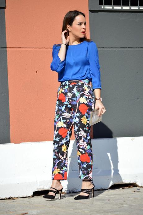 Outfit | Drolio pants