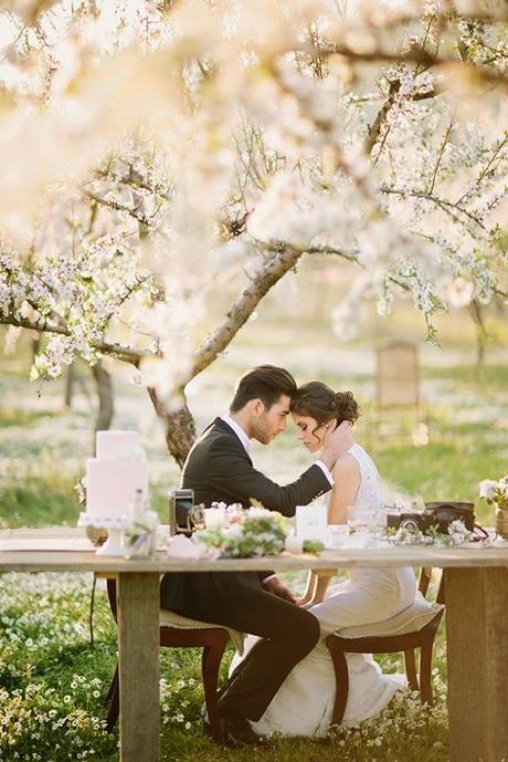 Novios entre almendros