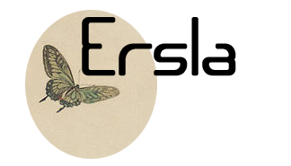 Ersla: Propósitos para el 2015/  Los mejores libros del 2014