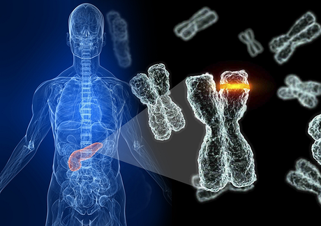 La fuente de la juventud se esconde en el ARN mensajero