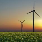 La capacidad de energía renovable crece a un ritmo récord 
