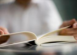 Novelas verosímiles