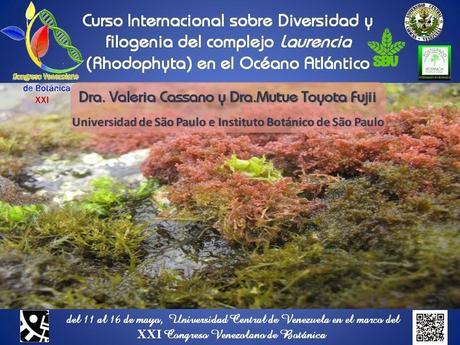 Curso Internacional sobre Diversidad y Filogenia del complejo Laurencia (Rhodophyta) en el océano Atlántico