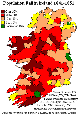 Impacto de la Gran Hambruna en la población irlandesa
