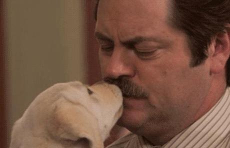 10 razones para amar a Ron Swanson - Parks and Recreation