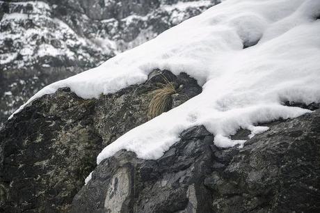 Valle del Asón, Cantabria