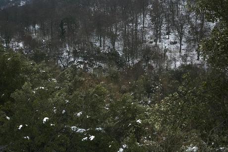 Valle del Asón, Cantabria