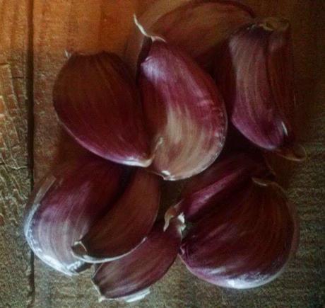 El ajo, mejor medicamento que condimento.