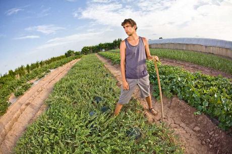 jóvenes agricultores