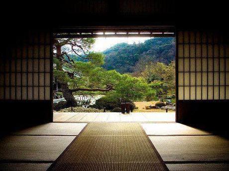 Observar (Danilo Hernández)