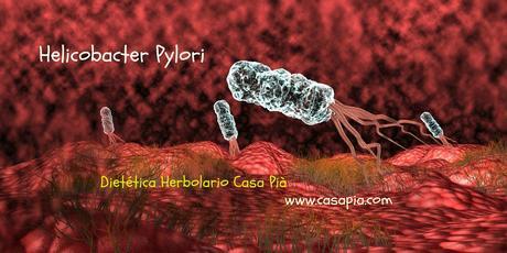 Helicobacter Pylori heli1