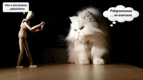 El Patxi. El Reencuentro II