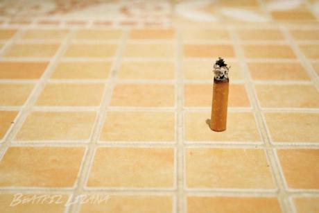 El tabaco en el mundo | Una imagen, una historia colilla de un cigarro
