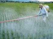 Roundup Monsanto, suficiente para enfermes
