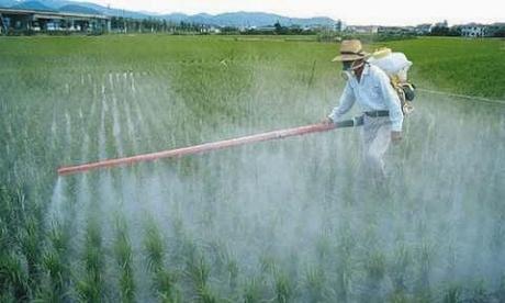 Roundup de Monsanto, suficiente para que enfermes