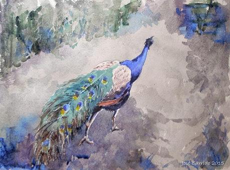 Acuarelas febrero 2015