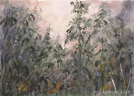 Acuarelas febrero 2015