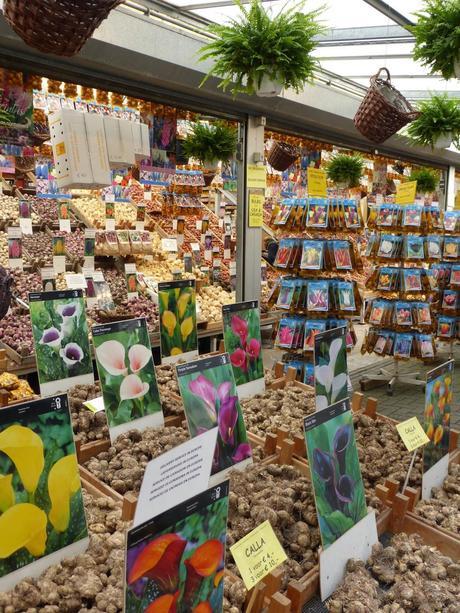 Día 14: Ámstredam (Nieuwe Kerk – Begijnhof – Mercado de las Flores – De Pijp – Pequeño Barrio Rojo – Esclusas De 1674 – Puente De Las Hermanas – Canal de los 7 Puentes)