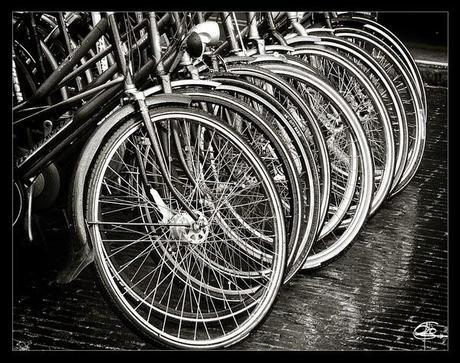 Día 14: Ámstredam (Nieuwe Kerk – Begijnhof – Mercado de las Flores – De Pijp – Pequeño Barrio Rojo – Esclusas De 1674 – Puente De Las Hermanas – Canal de los 7 Puentes)