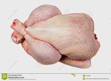 Las plumas del dinosaurio