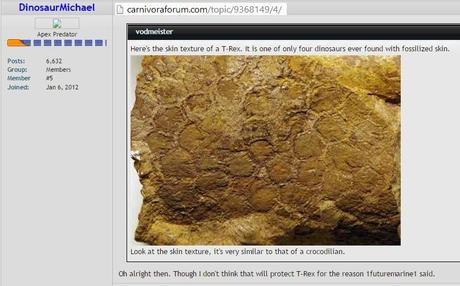 Las plumas del dinosaurio