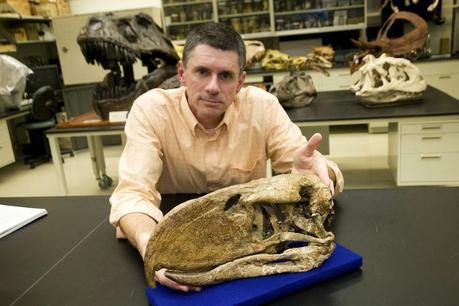 Las plumas del dinosaurio