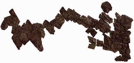 Las plumas del dinosaurio