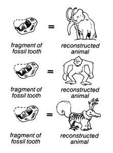 Las plumas del dinosaurio