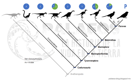 Las plumas del dinosaurio