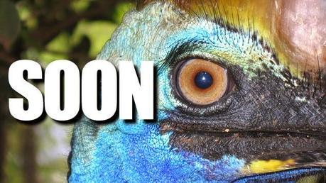 Las plumas del dinosaurio